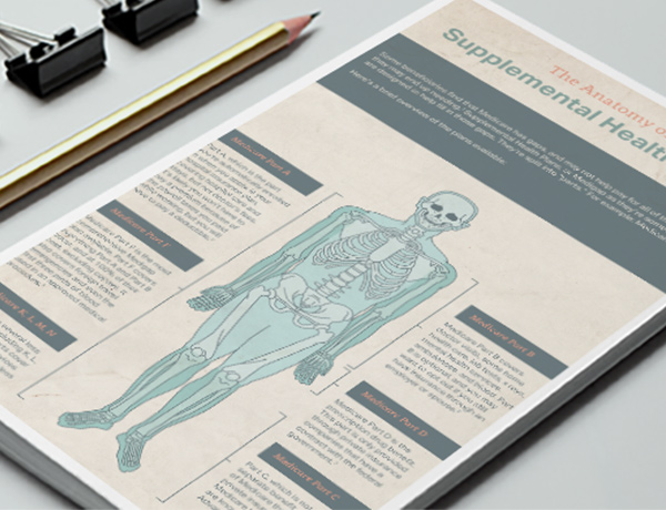 The Anatomy of a Supplemental Health Plan